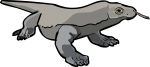 Komodo Dragon freehand drawings